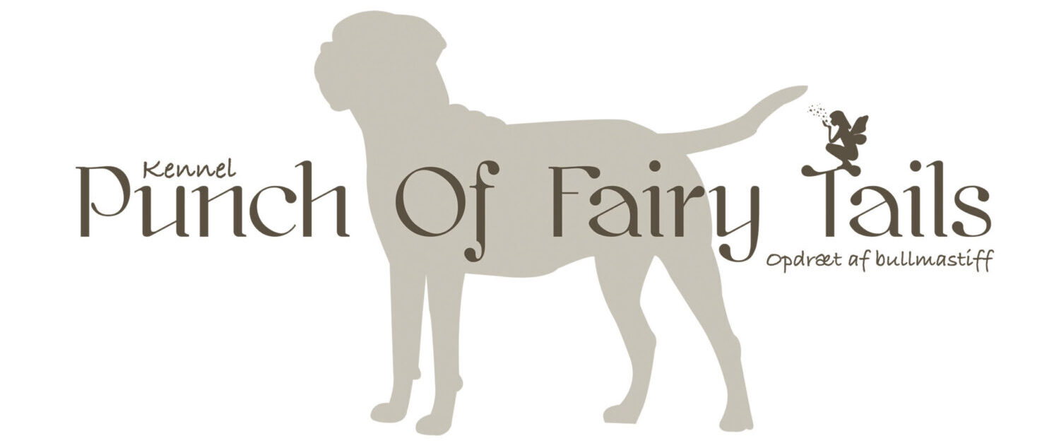 Punch Of Fairy Tails